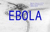 Maria Bacca II°H Anno Scolastico 2009/2010. L'Ebola è un filovirus, dalla caratteristica forma allungata, che deve il suo nome al fiume della Repubblica.