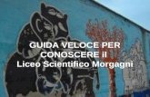 GUIDA VELOCE PER CONOSCERE il Liceo Scientifico Morgagni.