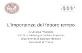 L'importanza del fattore tempo Dr Andrea Ranghino S.C.D.U. Nefrologia Dialisi e Trapianto Dipartimento di Scienze Mediche Università di Torino.
