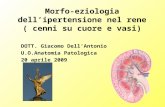 Morfo-eziologia dellipertensione nel rene ( cenni su cuore e vasi) DOTT. Giacomo DellAntonio U.O.Anatomia Patologica 20 aprile 2009.