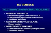 RX TORACE OMBRA CARDIACA –Dimensioni (rapporto cardio-toracico > 0.5) –Configurazione (ingrandimento archi cardiaci) –Versamento pericardico COMPONENTE.