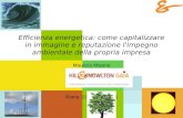 Efficienza energetica: come capitalizzare in immagine e reputazione l'impegno ambientale della propria impresa Maurizio Maione Roma 22 ottobre 2008.