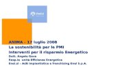 ANIMA - 17 luglio 2008 La sostenibilità per le PMI Interventi per il risparmio Energetico Dott. Angelo Gava Resp.le unità Efficienza Energetica Enel.si.
