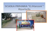 SCUOLA PRIMARIA G.Marconi Riparbella. Una scuola con ampi spazi così suddivisi : N°5 aule Laboratorio per attività manuali Angolo delle attività di orto.
