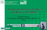 1 Aspetti rigenerativi del disco lombare: è possibile? Gabriela Ciapetti Fisiopatologia Ortopedica e Medicina Rigenerativa IOR.