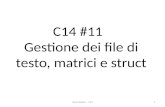 Piero Scotto - C141 C14 #11 Gestione dei file di testo, matrici e struct.