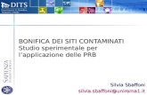 BONIFICA DEI SITI CONTAMINATI Studio sperimentale per lapplicazione delle PRB Silvia Sbaffoni silvia.sbaffoni@uniroma1.it.