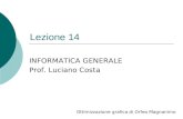 Lezione 14 Ottimizzazione grafica di Orfeo Magnanimo INFORMATICA GENERALE Prof. Luciano Costa.