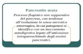 Pancreatite acuta Processo flogistico non suppurativo del pancreas, con tendenza allevoluzione in senso necrotico emorragico, la cui patogenesi si identifica.