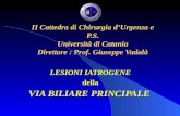II Cattedra di Chirurgia dUrgenza e P.S. Università di Catania Direttore : Prof. Giuseppe Vadalà LESIONI IATROGENE della VIA BILIARE PRINCIPALE.