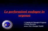 Le perforazioni esofagee in urgenza I Cattedra di Chirurgia dUrgenza e Pronto Soccorso titolare : Prof. Giuseppe Vadalà