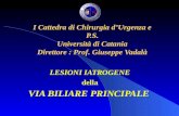 I Cattedra di Chirurgia dUrgenza e P.S. Università di Catania Direttore : Prof. Giuseppe Vadalà LESIONI IATROGENE della VIA BILIARE PRINCIPALE.