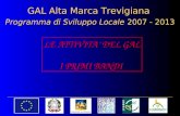 GAL Alta Marca Trevigiana Programma di Sviluppo Locale 2007 - 2013 LE ATTIVITA DEL GAL I PRIMI BANDI.