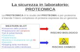 La sicurezza in laboratorio: PROTEOMICA La PROTEOMICA è lo studio del PROTEOMA e per proteoma sintende lintero complesso di proteine espresse da un genoma.