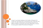 Capri è un'isola italiana nel Golfo di Napoli. Si tratta di 10,4 km2 ed è conosciuta per le grotte nel mare. La più conosciuta è la Grotta Azzurra. Il.