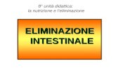 8° unità didattica: la nutrizione e leliminazione ELIMINAZIONE INTESTINALE.