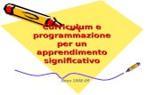 Curriculum e programmazione per un apprendimento significativo Curriculum e programmazione per un apprendimento significativo Anno 2008-09.