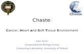 Chaste Chaste : C ancer, H eart a nd S oft T issue E nvironment Ivan Cenci Computational Biology Group Computing Laboratory, University of Oxford.