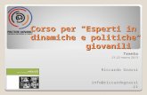 Corso per Esperti in dinamiche e politiche giovanili Trento 21-22 marzo 2013 Riccardo Grassi info@riccardograssi.it.