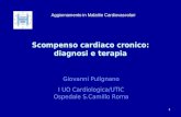1 Scompenso cardiaco cronico: diagnosi e terapia Giovanni Pulignano I UO Cardiologica/UTIC Ospedale S.Camillo Roma Aggiornamento in Malattie Cardiovascolari.