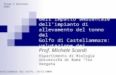 Monitoraggio dell'impatto ambientale dellimpianto di allevamento del tonno del Golfo di Castellammare: valutazione dei risultati. Prof. Michele Scardi.