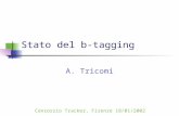 Stato del b-tagging A. Tricomi Consorzio Tracker, Firenze 18/01/2002.
