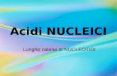 Acidi NUCLEICI Lunghe catene di NUCLEOTIDI. Acido DESOSSIRIBOSIO.