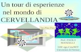 Un tour di esperienze nel mondo di CERVELLANDIA Prof. PAOLO MANZELLI LRE ego-CreaNET Università di Firenze Ins.Pina Fico.