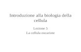 Introduzione alla biologia della cellula Lezione 5 La cellula eucariote.