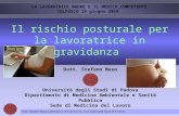 Il rischio posturale per la lavoratrice in gravidanza Dott. Stefano Maso Università degli Studi di Padova Dipartimento di Medicina Ambientale e Sanità