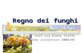 Regno dei funghi Prof.ssa Elena Truffo Anno scolastico 2004/05.