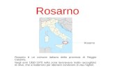Rosarno Rosarno è un comune italiano della provincia di Reggio Calabria. Negli anni 1950-1970 nella zona lavoravano molte raccoglitrici di olive, che si.