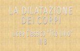 Il dilatometro disegnato dagli alunni della classe III B del Liceo Classico Tito Livio.