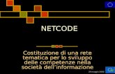 20 maggio 2002 NETCODE Costituzione di una rete tematica per lo sviluppo delle competenze nella società dellinformazione.
