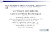 Azione di sistema per l'obbligo di istruzione e la continuità fra Secondarie di I e II grado - Fase 2- USP Torino" Certificare competenze Asse scientifico-tecnologico.
