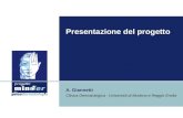 Presentazione del progetto A. Giannetti Clinica Dermatologica - Università di Modena e Reggio Emilia.