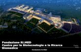 Fondazione Ri.MED Centro per le Biotecnologie e la Ricerca Biomedica Carini, Italy Fondazione Ri.MED.