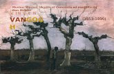V I N C E N T VANGOGH (1853-1890) Musica: Vincent (Acustica) Composta ed eseguita da Don Mclean.