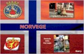 Simbolo della Norvegia Gary OSLO Clicca per avanzare.
