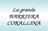 La grande BARRIERA CORALLINA La barriera corallina è una formazione tipica dei mari e oceani tropicali