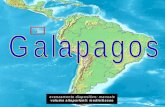 Le Galápagos (o Galapagos, nella grafia italiana), note anche come Arcipelago di Colombo, Arcipelago dell'Ecuador o Arcipelago di Colón, sono un arcipelago.