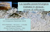 La spalla postchirurgica trattata in acqua: prove di efficacia Rome Rehabilitation 2011 XX Congresso Nazionale SICD M.S.Palmieri – M.Curzi – J.Guida Istituto.