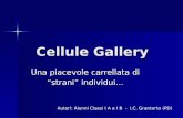 Cellule Gallery Una piacevole carrellata di strani individui… Autori: Alunni Classi I A e I B - I.C. Grantorto (PD)