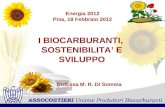 Energia 2012 Pisa, 18 Febbraio 2012 I BIOCARBURANTI, SOSTENIBILITA E SVILUPPO Dott.ssa M. R. Di Somma.