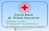 Croce Rossa Italiana Delegazione di Buccinasco 1 Corso Base di Primo Soccorso C O N V E N Z I O N E D I G I N E V R A 2 2 A G O S T O 1 8 6 4 Lezione 3.
