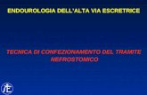ENDOUROLOGIA DELLALTA VIA ESCRETRICE TECNICA DI CONFEZIONAMENTO DEL TRAMITE NEFROSTOMICO.