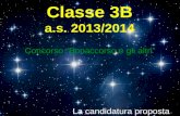 Classe 3B a.s. 2013/2014 Concorso Bonaccorso e gli altri La candidatura proposta è…