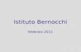 Istituto Bernocchi febbraio 2011. Competenza M. Pellerey Linsieme strutturato di conoscenze, capacità e atteggiamenti necessari per lefficace svolgimento.
