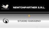 NEWTONPARTNER S.R.L. & STUDIO GUGGINO. sono due realtà connesse che propongono al Cliente sia la tradizionale gamma di servizi dello Studio Commercialista.