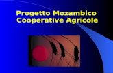 Progetto Mozambico Cooperative Agricole. Nella comunità Paulo S. Kankhomba (Boane) è Cooperativa Come Noi stata costituita la Cooperativa Come Noi che.